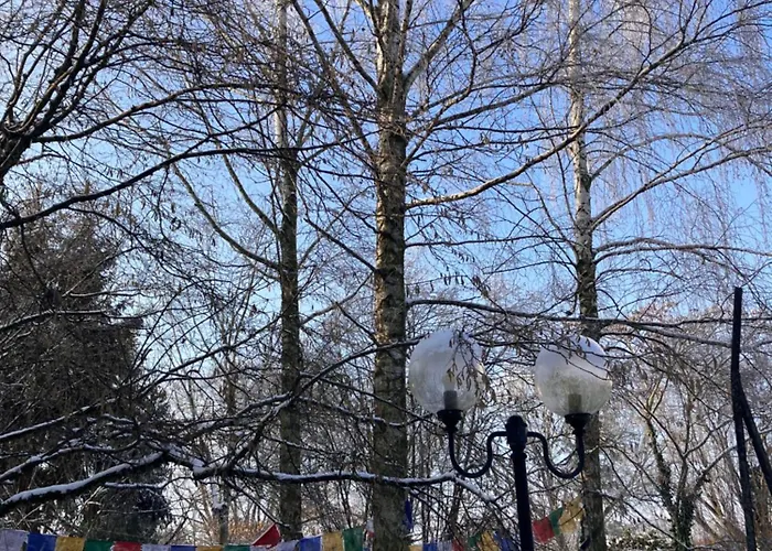 بيت ضيافة Gaestehaus Fliedner - Kutscherhaus